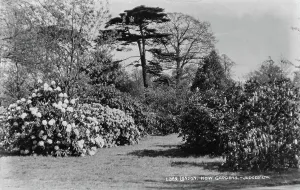 Showcasing Prints: Kew Gardens in Black and White