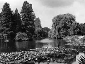 Kew Gardens Lake