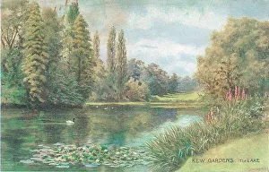 Howard Prints: Kew Gardens, The Lake, London