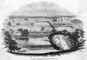 Kew Gardens Palm House