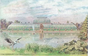 Kew Gardens, The Palm House, London
