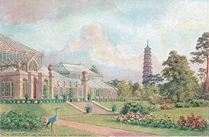 Pagoda Collection: Kew Gardens, The Temperate House and the Pagoda, London