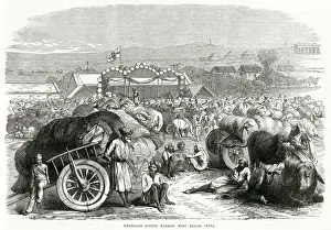 Khangaon cotton market, India 1870
