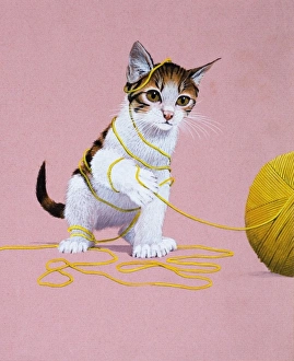 Images Dated 16th June 2006: Kidden with Ball of Wool