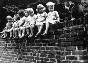Nostalgia Collection: Kids & Cat on a Wall