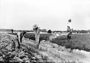 Bann Prints: Kieselguhr Industry at Toome, Digging the Bann Clay. Grants