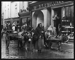 Rainy Collection: Killarney Cart Woman