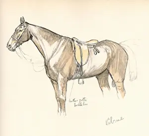 Huntsman Prints: Kilrue, horse belonging to Lord Lonsdale