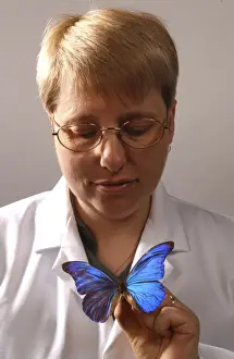 Kim Goodger with butterfly specimen