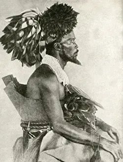 Parrot Prints: King Akondo, Belgian Congo, Central Africa