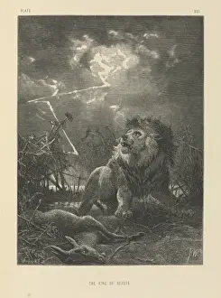 Felid Prints: The King of Beasts