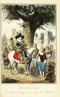 Abeckett Gallery: King Charles II hiding up an oak tree in Boscobel