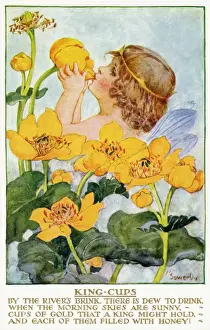 King cups