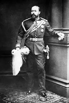King Edward VII