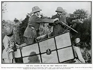 Jungle Prints: King Emperor among the Nepal tigers and bears 1911