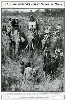 Images Dated 20th January 2017: King Emperors great shoot in Nepal 1911