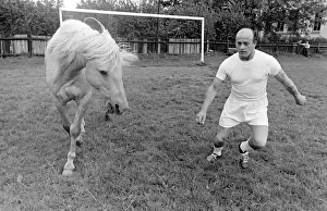 Goal Prints: King the football-playing stallion was bought by Essex farmer Bill Foyle from a Midlands