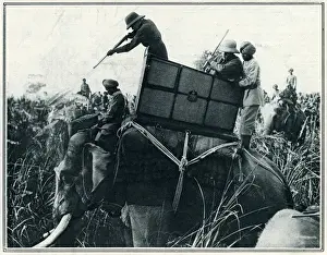 King George V hunting