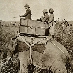 Elephant Collection: King George V hunting tigers in Nepal