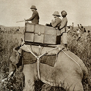 Hunt Collection: King George V hunting tigers in Nepal
