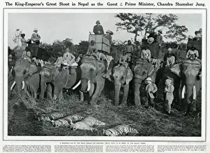 King George V shooting expedition 1911