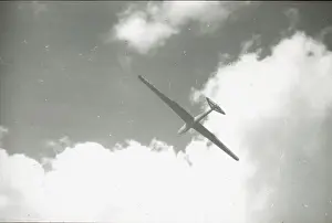 King Kite; 3 / 4 front from below, soaring