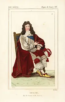 King Louis XIV, Roi de France et de Navarre