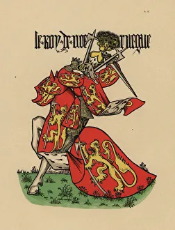 Ancien Gallery: King of Norway, roi de Norvege
