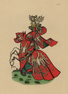 Ancien Gallery: King of Poland, roi de Pologne