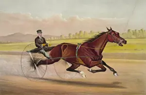 Trotter Prints: The king of the turf St. Julien, driven by Orrin A. Hickok