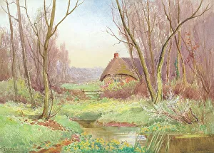 Stannard Prints: The Kingcup Dell
