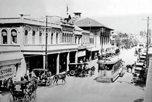 Plantation Collection: Kingston, Jamaica, early 1900s