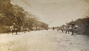 Kingston scouts resting on staves, Jamaica