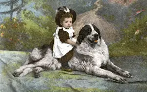 Endearing Prints: Kitch postcard of a Newfoundland dog and young rider