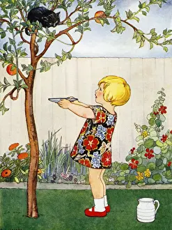 Kitten up an apple tree