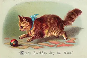 Kitten with ball on a birthday card