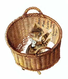 Images Dated 4th December 2015: Kitten in a basket on a cutout Christmas card