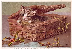 Kitten in a basket on a New Year card
