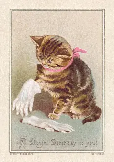 Kitten on a birthday card