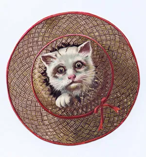 Images Dated 3rd December 2015: Kitten in a broken basket on a cutout greetings card