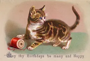 Kitten with cotton reel on a birthday card