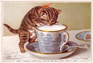 Images Dated 19th October 2015: Kitten with cup of milk on a Christmas card