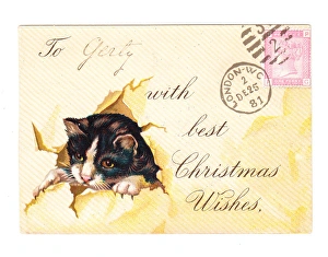 Kitten with envelope on a Christmas card Kitten with envelope on a Christmas card