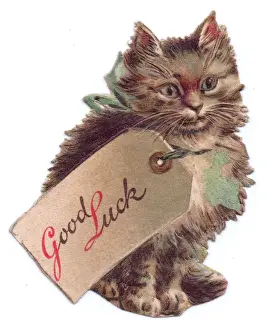 Kitten on a Good Luck gift tag