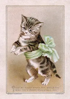 Kitten in green ribbon on a Christmas card