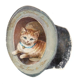 Images Dated 10th December 2015: Kitten inside a top hat on a cutout Christmas card