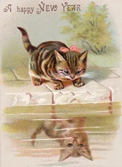 Kitten on a New Year card