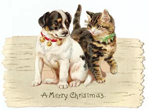 Victorian and Edwardian Christmas Cards Gallery: Kitten and puppy on a cutout Christmas card