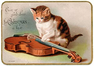 Kitten with a violin on a Christmas card