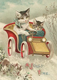 Kittens